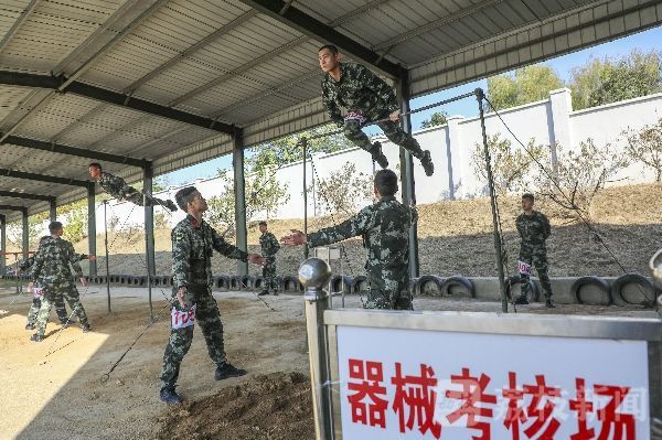 部队|以考促训，武警某支队年终大考摸清部队训练底数|荔枝军事