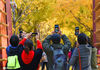 2020年11月6日，农历“立冬”在即 ，北京地坛公园银杏大道金色灿烂，美不胜收，吸引许多市民观赏拍照。
