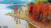 2020年11月30日，浙江省台州市仙居县官路镇谷坦水库水杉林，色彩斑斓，层林尽染，宛若童话世界，吸引不少市民游客前来赏景打卡。 