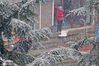 当日凌晨开始，辽宁省大连市迎来了今冬首场降雪天气，预计今天夜间降雪逐渐停止。