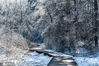 2020年12月2日，吉林长春，长春净月潭国家森林公园冬季雪后景观，一派银装素裹。