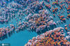 2020年11月29日，南京六合池杉湖国家湿地公园，上帝视角俯瞰大地，初冬也是色彩缤纷，美轮美奂。