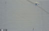 2020年12月3日，黑龙江省哈尔滨市，松花江上，建设冰雪大世界的采冰已经开始。采冰工在江面用移动的电锯车，割出冰线，待冰线割完后，运冰工人再到江面取冰。无人机俯瞰，割冰工人们的身影印在铺着白雪的江面上，一片忙碌。
