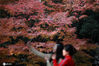 2020年12月5日，冬日时节，江苏省扬州市何园景区层林尽染，枫叶色彩缤纷，“枫景”迷人，吸引众多游客和摄影爱好者前来观赏拍摄。