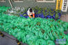2月9日，武汉市武昌区首义路街大东门社区为部分困难居民免费提供蔬菜供应。新华社记者 程敏 摄