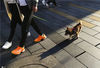 2017年2月14日，在浙江省温州市五马街，一情侣手挽手，后面跟着一条狗。当日是西方情人，许多情侣沐浴着冬日暖阳，上街晒“幸福”。
