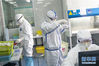 2月13日，实验室的工作人员在对样本进行核酸检测。 新华社记者 熊琦 摄