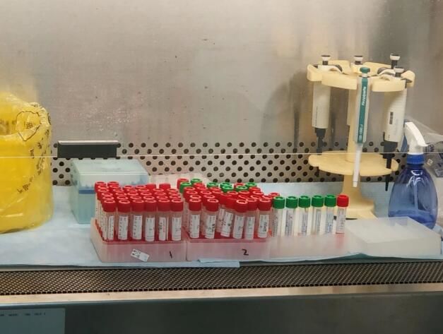 新冠必“黄”，愿毒服“苏”！