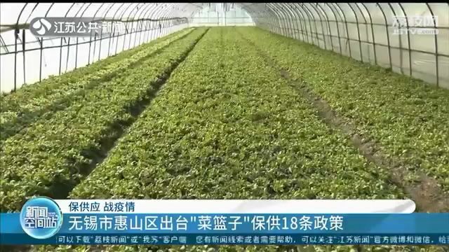 减免菜农土地租金，船舶卸货开辟绿色通道 江苏各地保供应战疫情