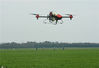 2020年2月19日，一架农用无人机在杭州市萧山区大展农业的麦田上空喷洒环保生态农药。
