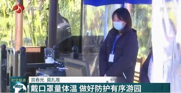 赏春光  莫扎堆