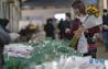 2月26日，市民在斗南花卉交易市场选购鲜花。 新华社记者 江文耀 摄