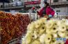 2月26日，商户张建芬在斗南花卉交易市场整理待售的鲜花。 新华社记者 江文耀 摄