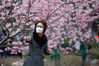 2020年2月27日，市民在南京和平公园拍摄樱花。随着气温回升，南京和平公园内的早樱绚丽绽放，一派春意盎然的景象。
