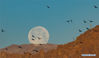 A super moon is pictured in Lhasa, southwest China's Tibet Autonomous Region, March 10, 2020. (Xinhua/Purbu Zhaxi)
