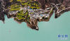 甘肃省陇南市文县白龙江畔山坡上的油菜花田（3月11日摄，无人机照片）。新华社记者 陈斌 摄