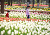 2020年3月15日，江苏省南京市，小朋友在南京中山植物园赏花游玩。
