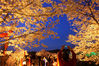 2012年4月1日晚，湖北武汉，东湖樱园内近3000名游客聚集在湖边赏樱。