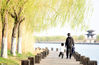  2020年3月18日，江苏省淮安市里运河畔，春风杨柳两岸苏。春天来临，淮安市里运河文化长廊灯红柳绿、生机勃勃，成为休闲和观光的好去处。

