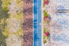 2020年3月21日浙江杭州滨江区最美樱花跑道樱花绽放。楼晋瑜/IC photo
