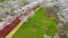 2020年3月24日，江西南昌赣江东大堤风光带春意盎然，樱花盛开，令人心旷神怡。马刚/IC photo