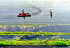 2020年3月23日，近年来，安徽铜陵充分利用长江两岸的丰富水资源，大力发展以“稻虾共作”为核心的绿色有机农业。过仕宁 摄/IC photo 编辑/陈进