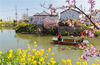 2020年3月24日，江苏省海安市白甸镇“银发护绿水”志愿服务队的志愿者们在施溪村的河道里打捞水草和垃圾漂浮物。