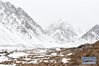 这是3月26日拍摄的肃南巴尔斯雪山生态旅游景区一景。 新华社记者 范培珅 摄