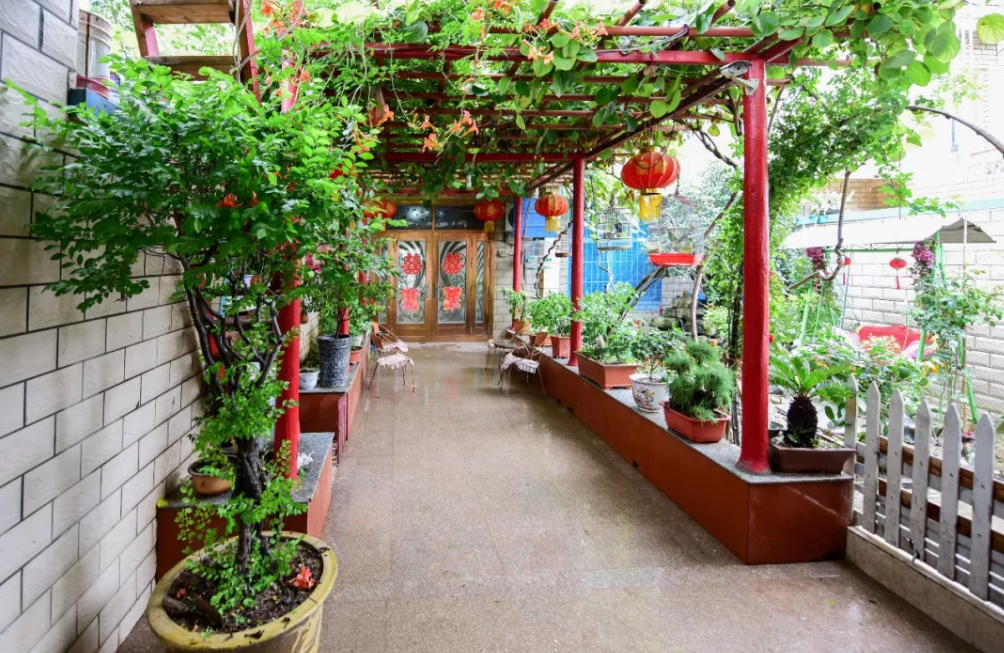 张集■收藏春天?张集镇可以!