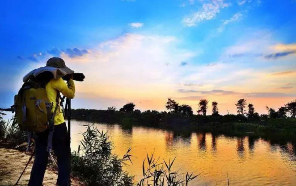 张集■收藏春天?张集镇可以!