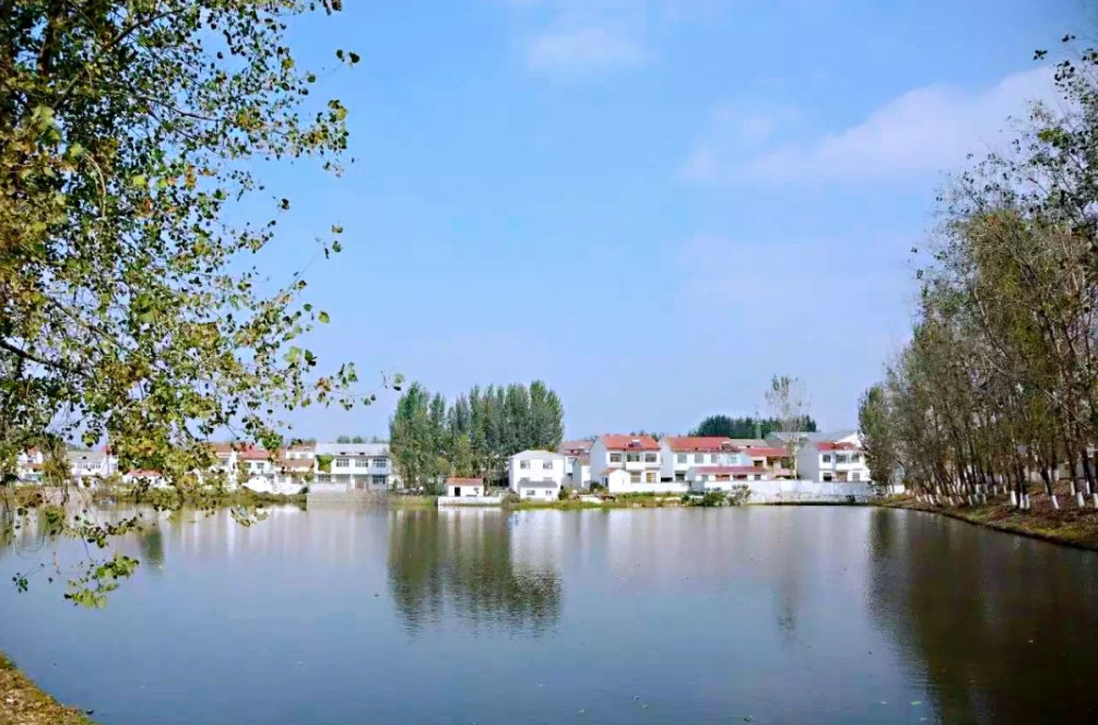 张集■收藏春天?张集镇可以!