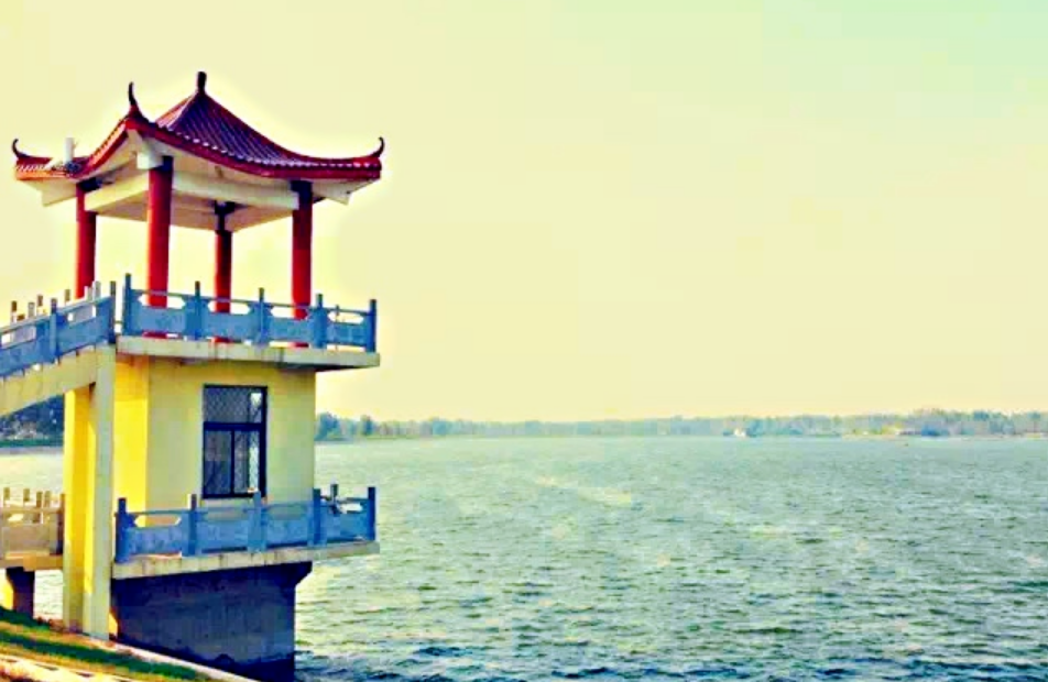 张集■收藏春天?张集镇可以!