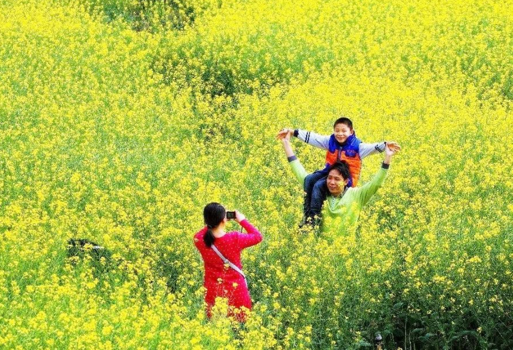 张集■收藏春天?张集镇可以!