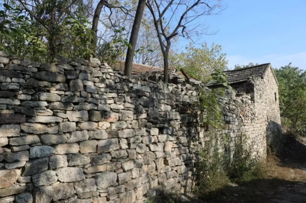 张集■收藏春天?张集镇可以!