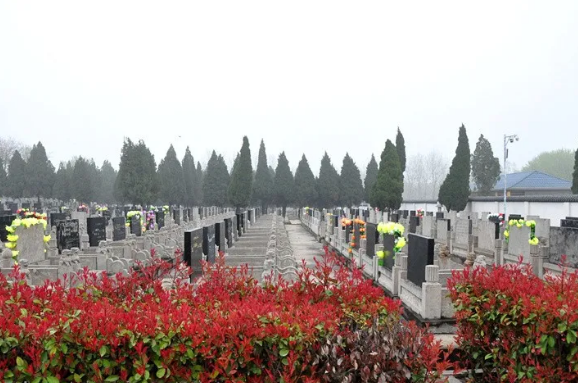 ■别样清明！您的思念，我来传递.....