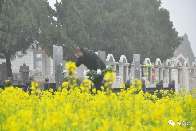 ■别样清明！您的思念，我来传递.....