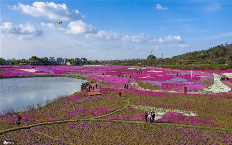 合肥市环巢湖旅游景点_合肥环巢湖旅游_环巢湖旅游大道环绕巢湖一周