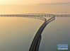　3月30日拍摄的青岛胶州湾大桥胶州连接线（无人机照片）。  新华社发（王昭脉 摄）