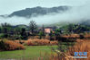 　这是3月29日拍摄的云雾缭绕的黄柏山国家森林公园景色。 位于大别山深处的河南省商城县黄柏山国家森林公园，在一场春雨后，云雾缭绕，宛若仙境。 来源：新华网 新华社记者李安摄