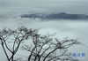 　这是3月29日拍摄的云雾缭绕的黄柏山国家森林公园景色。 位于大别山深处的河南省商城县黄柏山国家森林公园，在一场春雨后，云雾缭绕，宛若仙境。 新华社记者李安摄