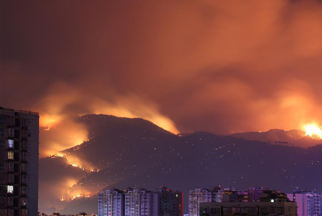 四川西昌森林火灾造成19人遇难 过火面积约1000公顷