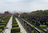 2020年3月31日南京，市民来到墓园扫墓。前来祭扫的市民凭“苏康码”、预约凭证，经测量体温，陆续进入墓区，现场秩序井然，没有出现排队和争执现象。