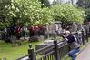 2020年4月1日，南京午朝门公园内的十几株绣球花盛开。图为市民和摄影爱好者前来打卡。 雨田/IC photo
