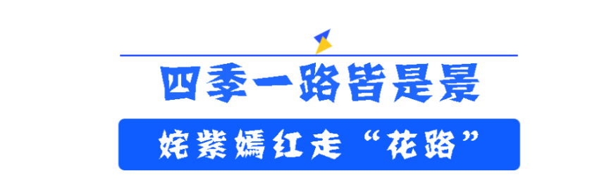 道路■刷“黑”道路刷“靓”颜值!宿豫发展更速度!