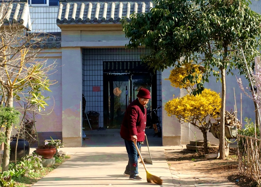 庭院■江苏沭阳：乡村庭院别样美