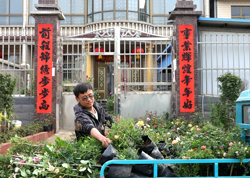 庭院■江苏沭阳：乡村庭院别样美