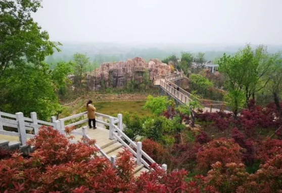 公园■藏不住了！韩山公园，你怎么这么好看？
