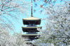 武汉东湖樱花园以仿日本建筑的五重塔为中心，配以日本园林式的湖塘，小岛，溪流，虹桥，鸟居，斗门，甚至管理间和售票处也是设计精细的仿日建筑。樱花开放期间，该园将定时播放日本民间小曲，并提供众多日本风味小吃，整个景区体现出浓郁的东瀛风情。 