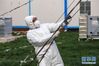 3月31日，中建三局项目经理尹典在武汉火神山医院检查连接重症病房的排风管的稳固性。  新华社记者 沈伯韩 摄