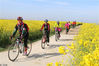 2020年4月5日，江苏省连云港市灌云县杨集镇潮河湾油菜种植基地，骑行爱好者在田间骑行，享受春日时光，倡导绿色出行。
